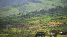 Supplied by Getty image, image of a landscape
