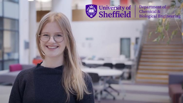 integrated phd sheffield