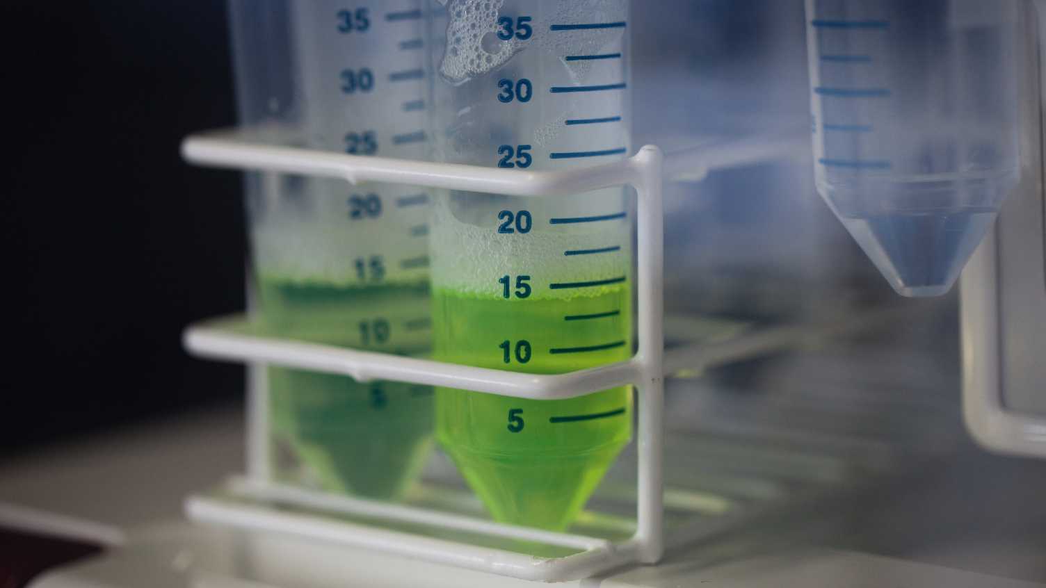 Thumbnail for Bioavailability and biodegradation potential of hydrocarbons in polluted sites |…