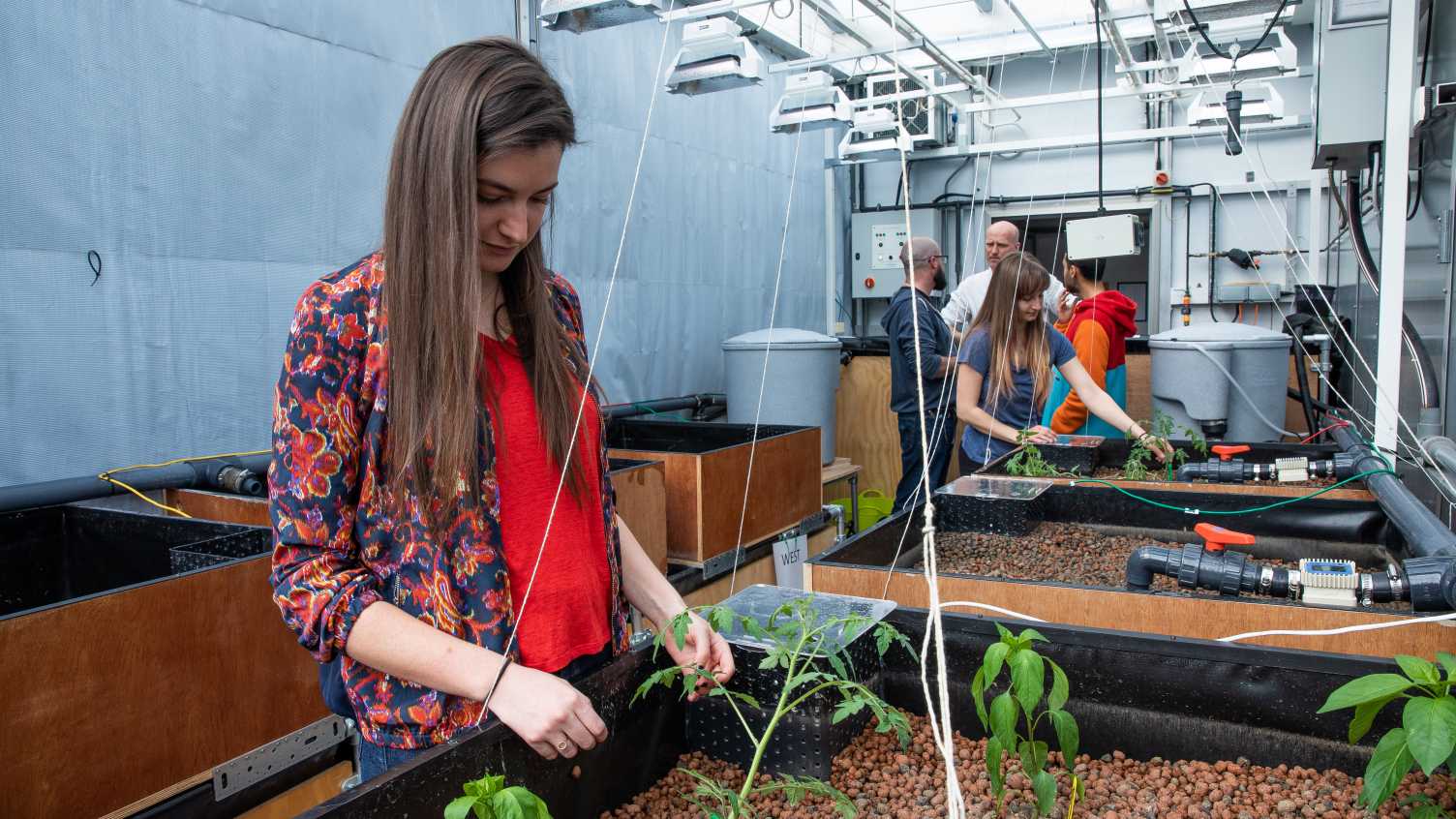 Thumbnail for Staff vacancies | Institute for Sustainable Food 