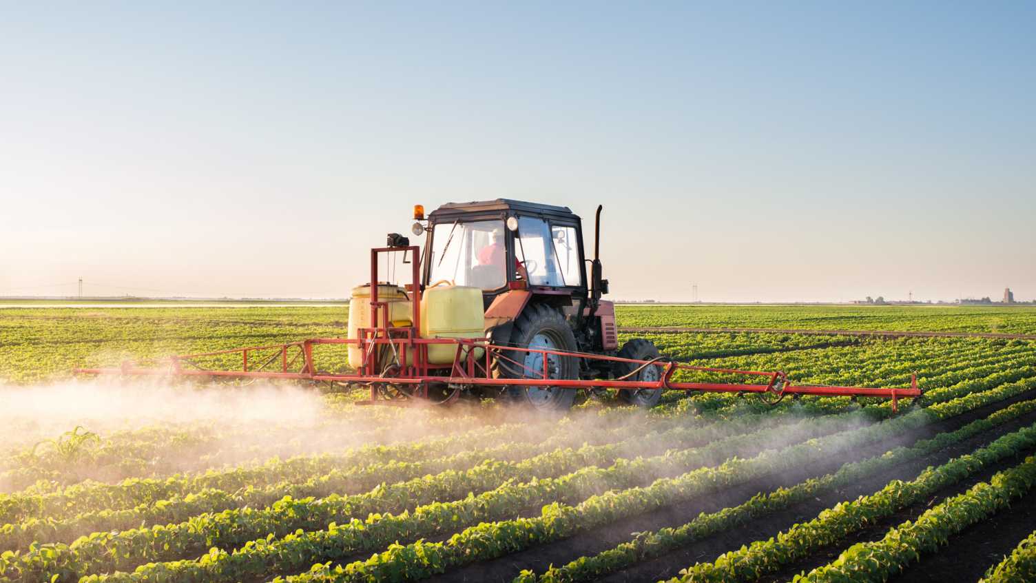 Thumbnail for Business as usual ‘no longer an option’ for Europe’s food system, experts …