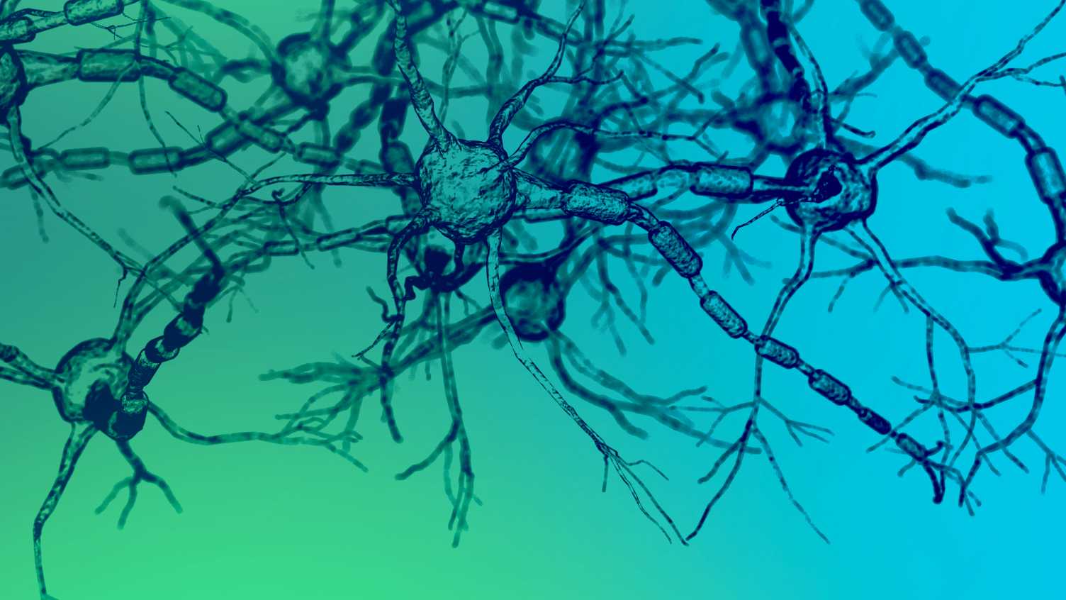 Thumbnail for Join our team of world-leading academics | Neuroscience Institute 