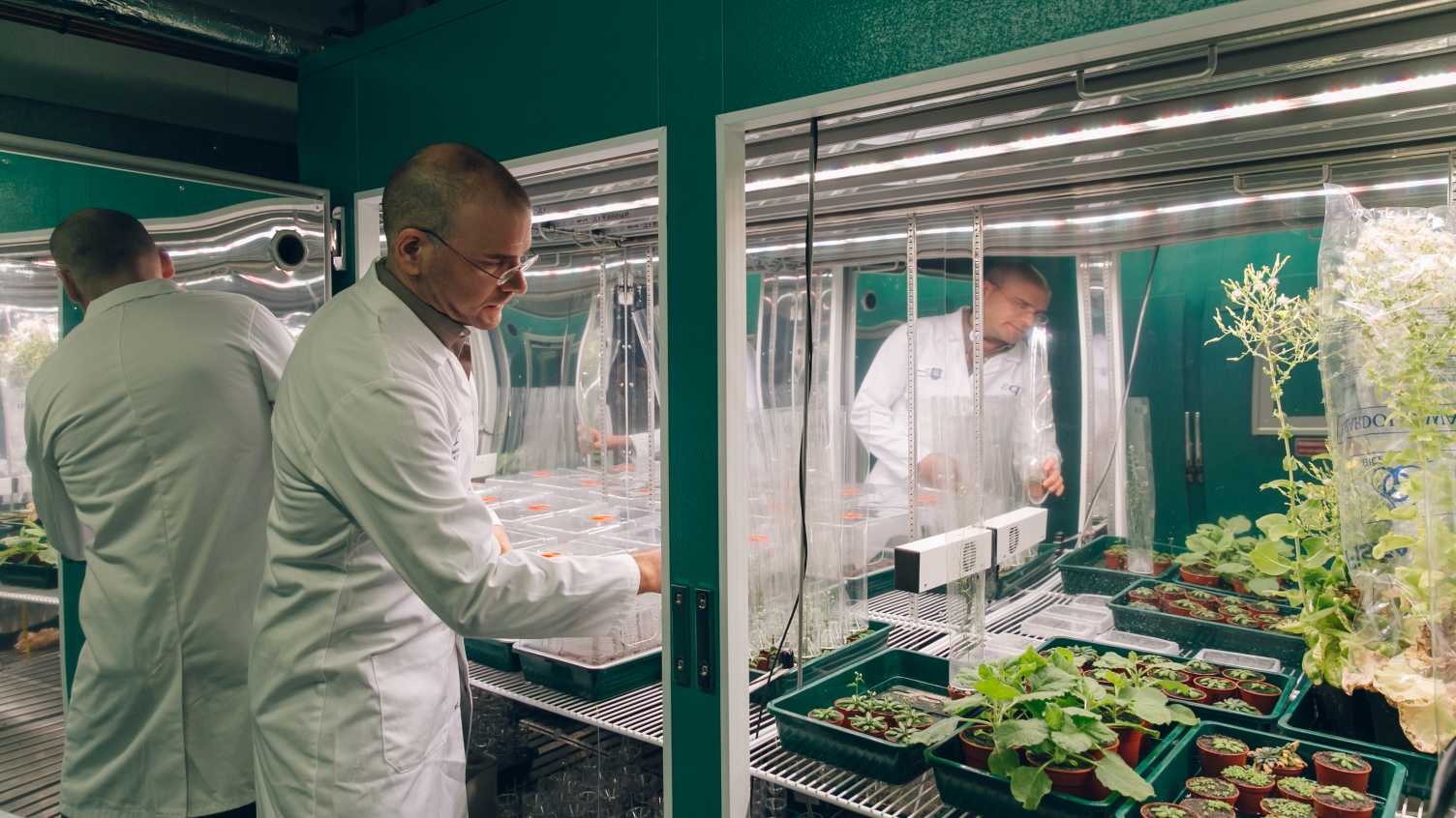 Thumbnail for ChemPrime | Institute for Sustainable Food 
