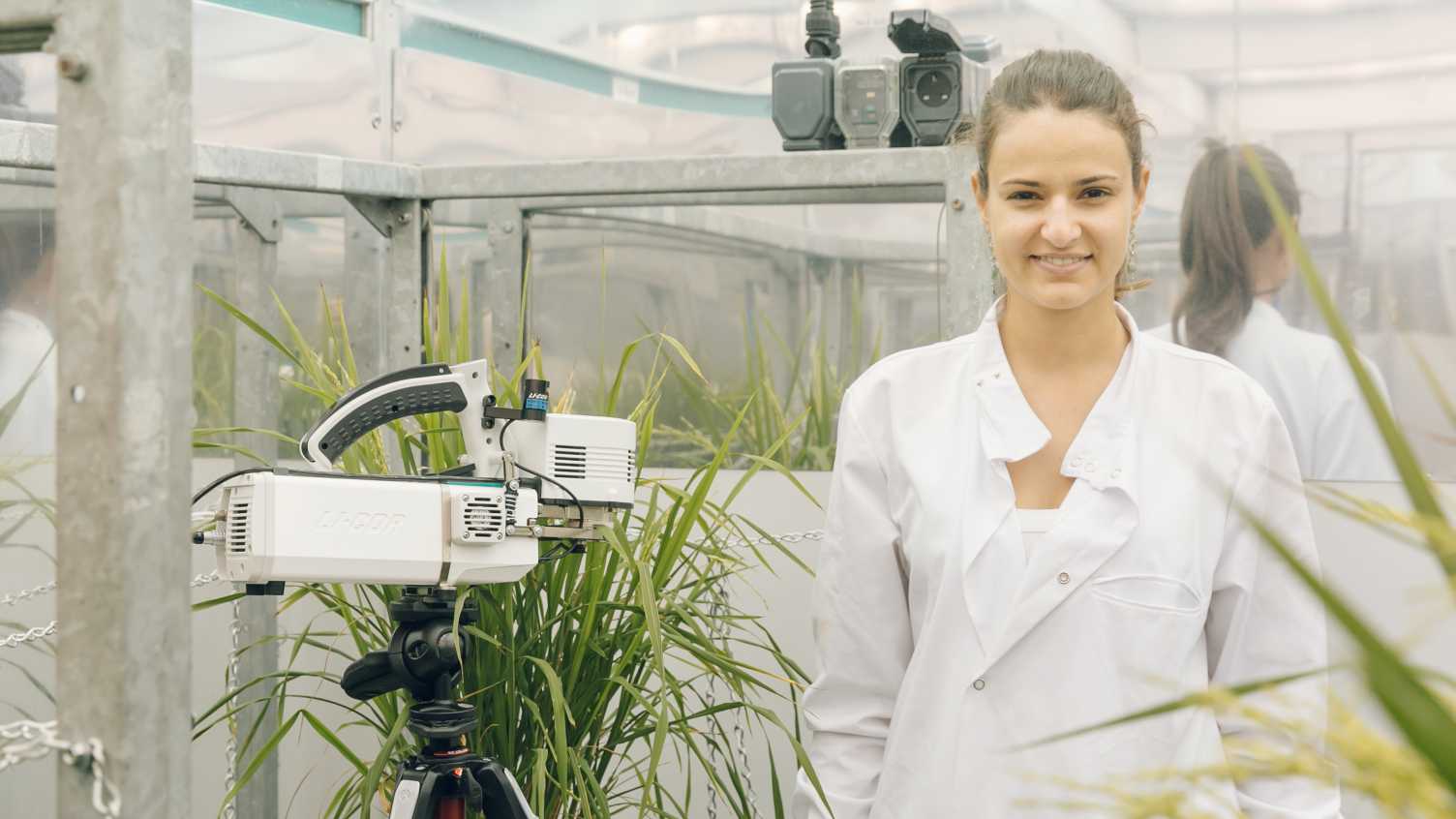Thumbnail for Have you considered studying an MSc in Sustainable Agricultural Technologies? | …