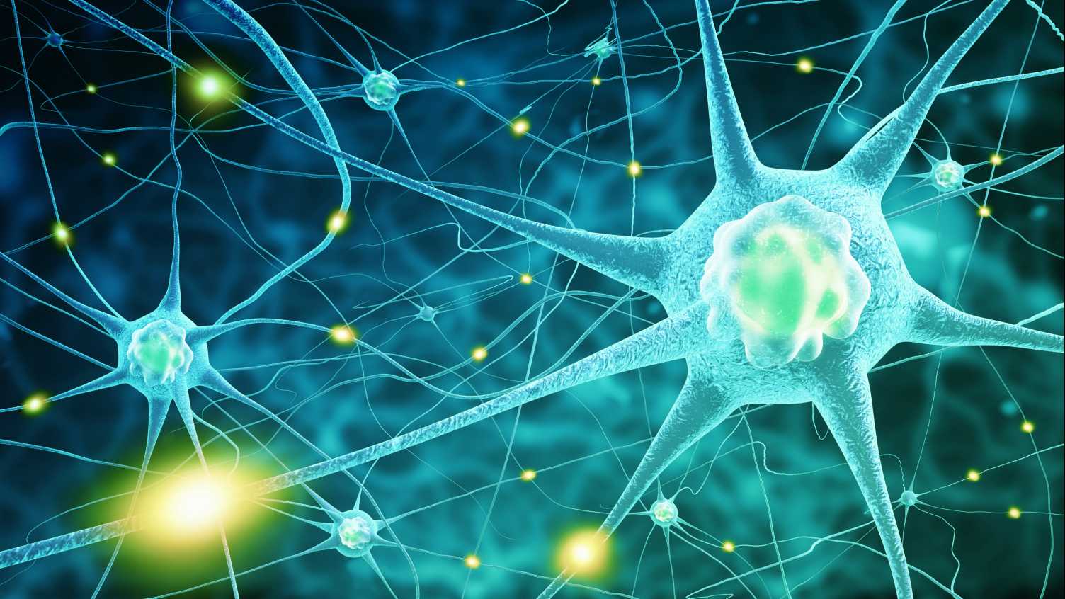 Thumbnail for New hope in the search for treatment of motor neuron disease | Biosciences 