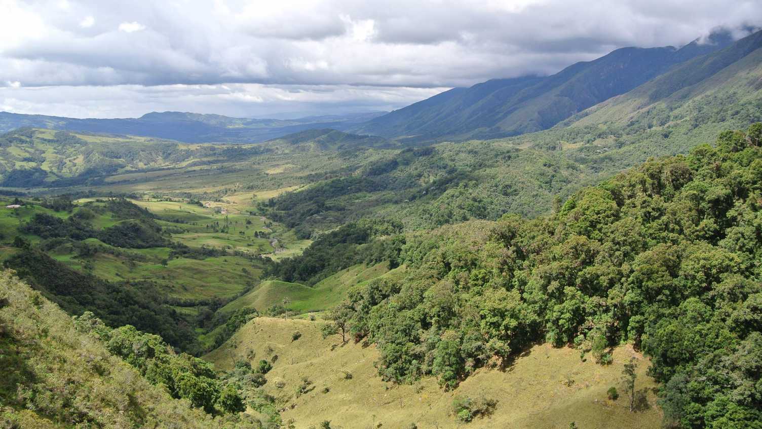 Thumbnail for The PARAMO team | Institute for Sustainable Food 