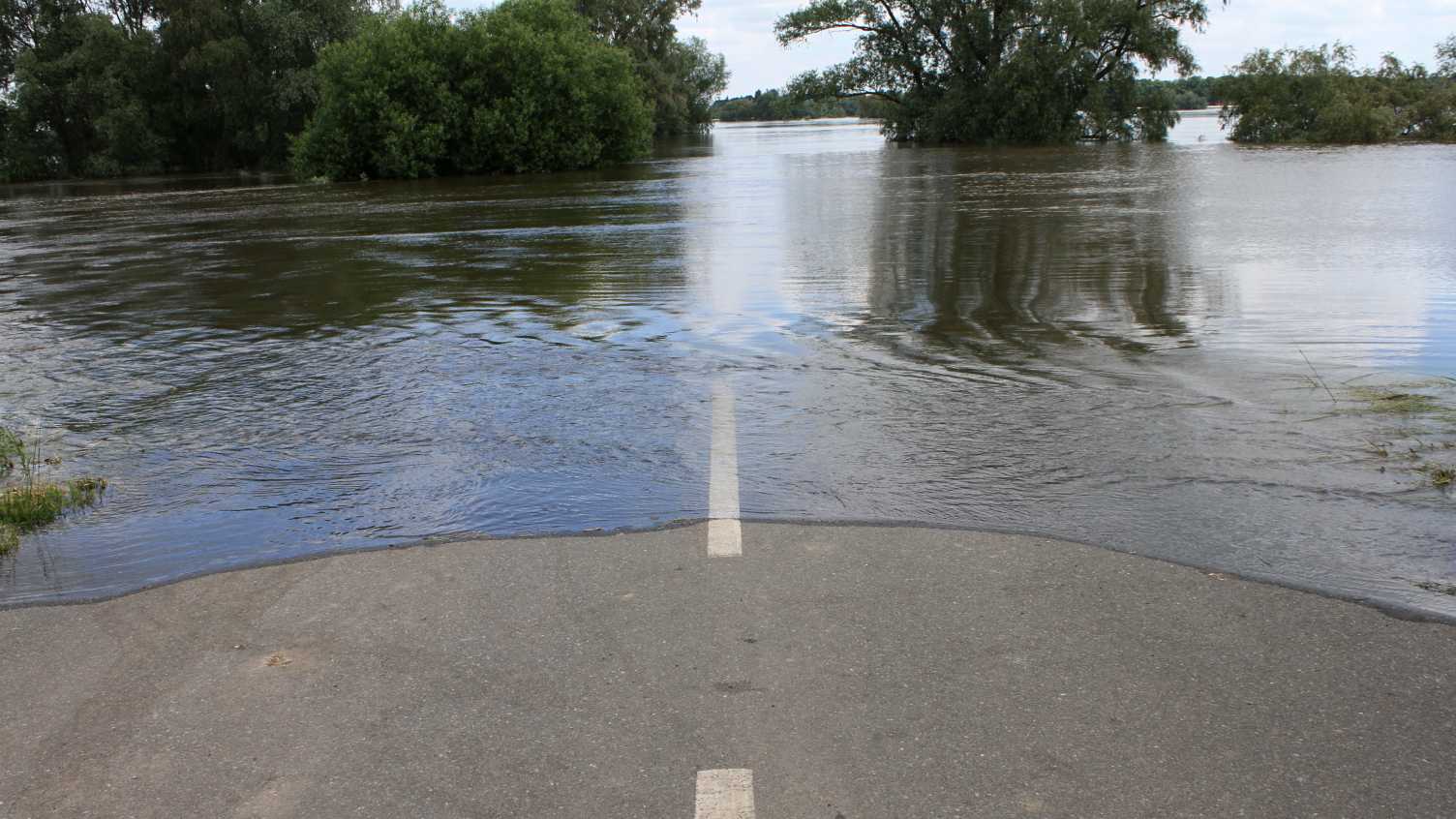 Thumbnail for Using artificial intelligence to reduce urban flooding | Faculty of Engineering 