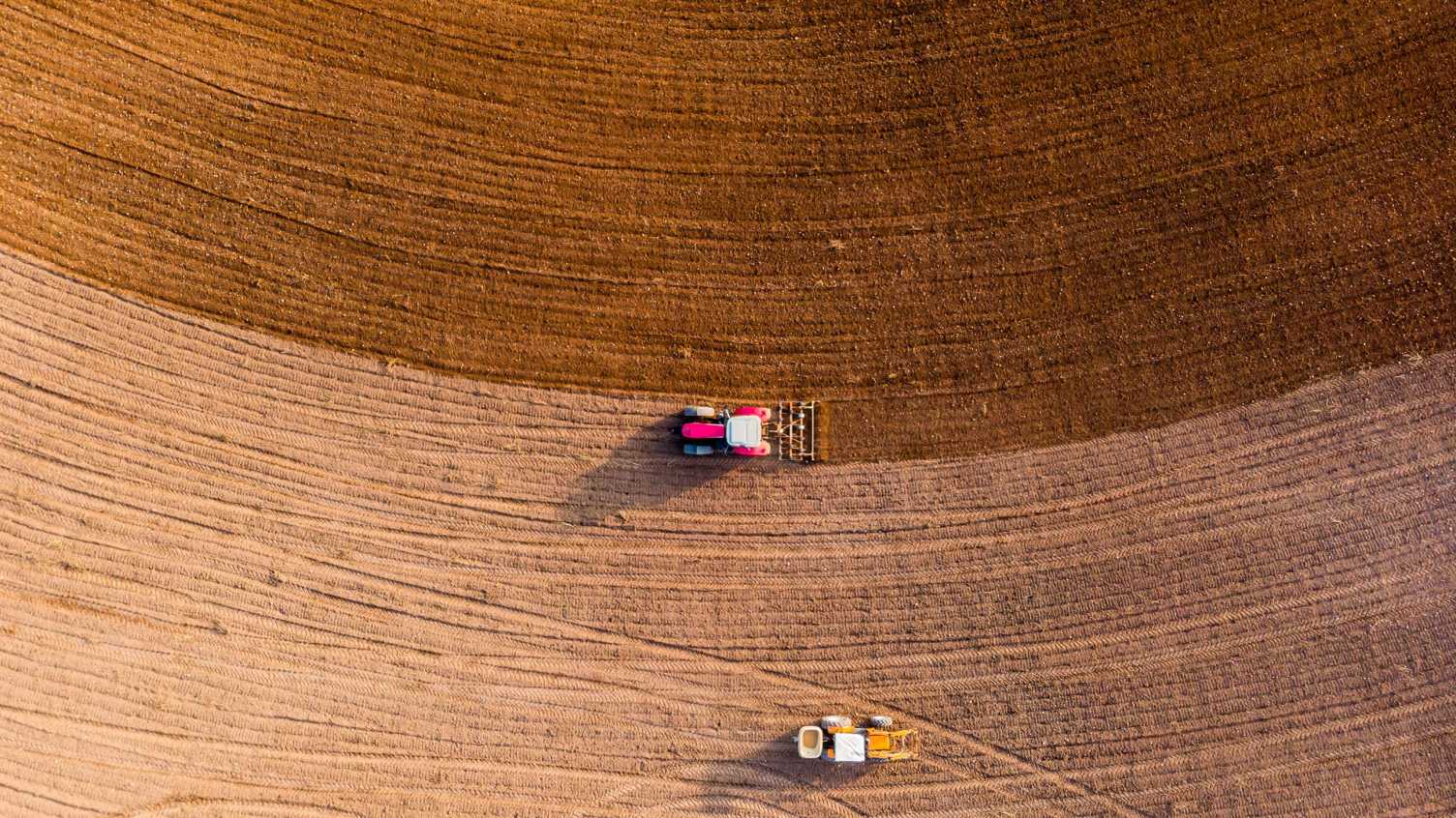 Thumbnail for Scientists turn damaging carbon dioxide into pellets to restore soils and increa…