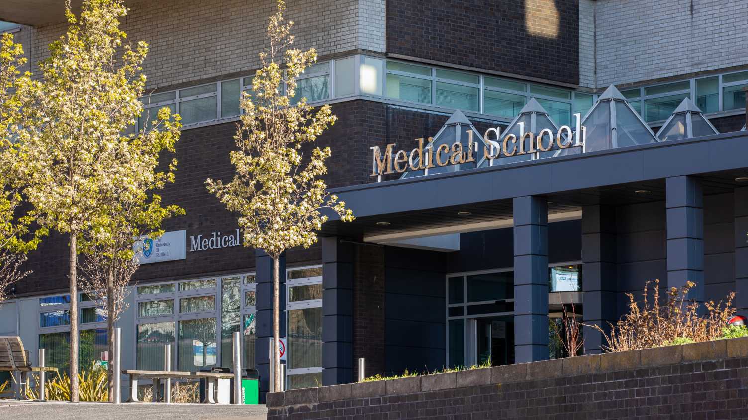 Thumbnail for Sheffield Researchers identify new protein to suppress kidney cancer | Medicine …