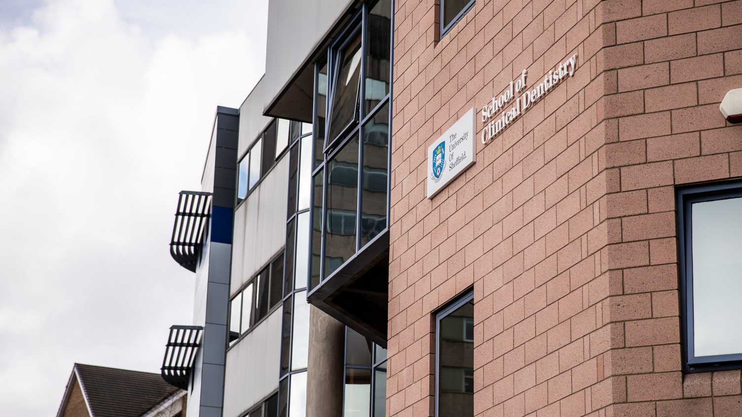 Thumbnail for Promotions success for School of Clinical Dentistry Academics | Clinical Dentist…