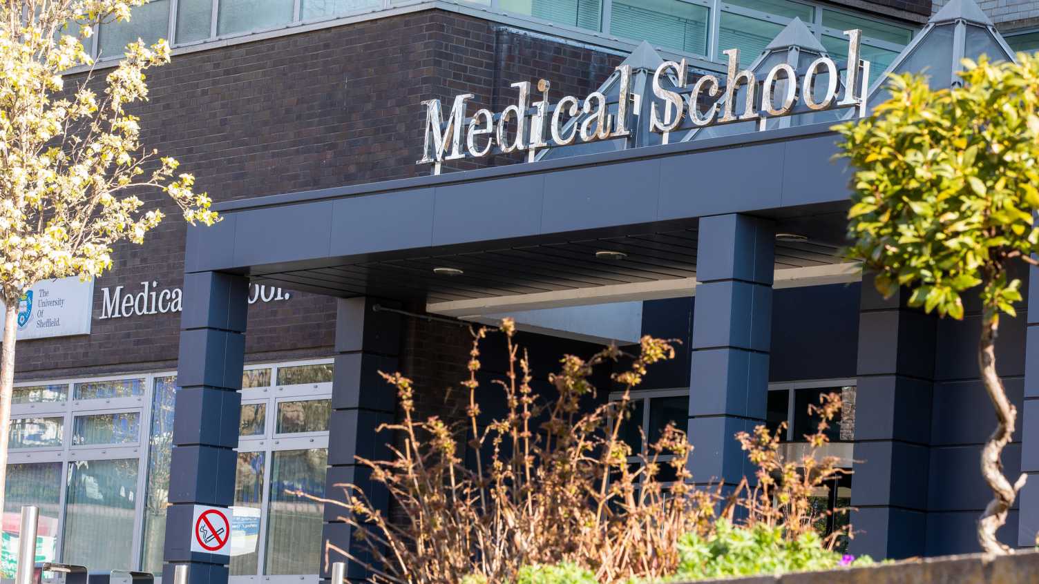 Thumbnail for Medical School Research Meeting 2019 | Medicine and Population Health 