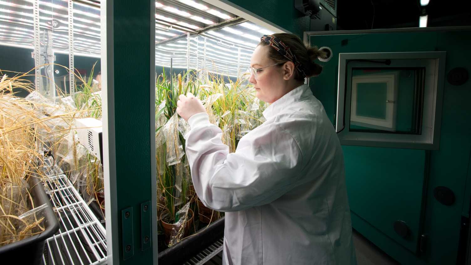 Thumbnail for Facilities | Institute for Sustainable Food 