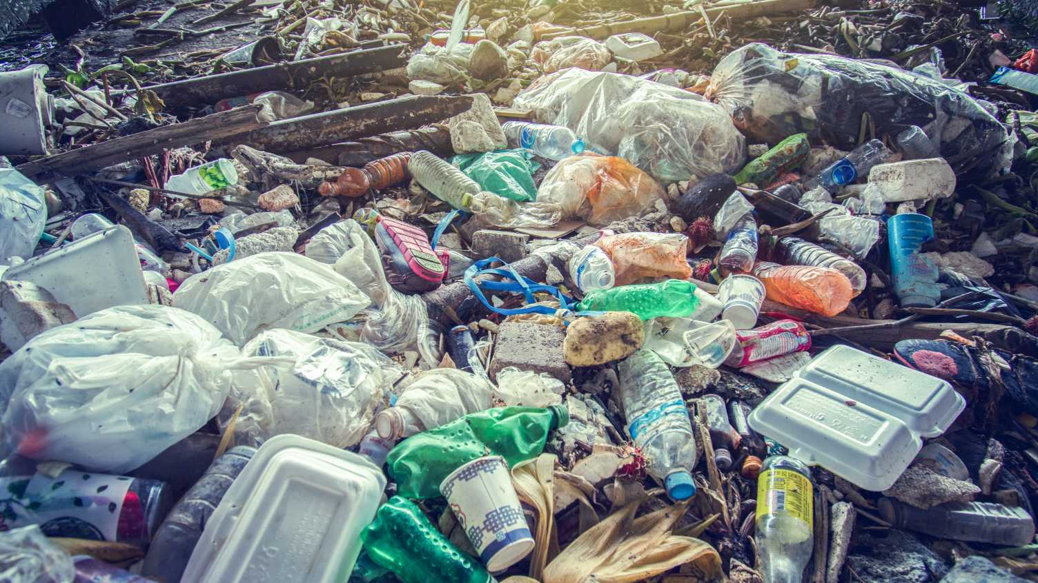 University Of Sheffield Researchers Join Forces To Tackle Plastic Waste ...