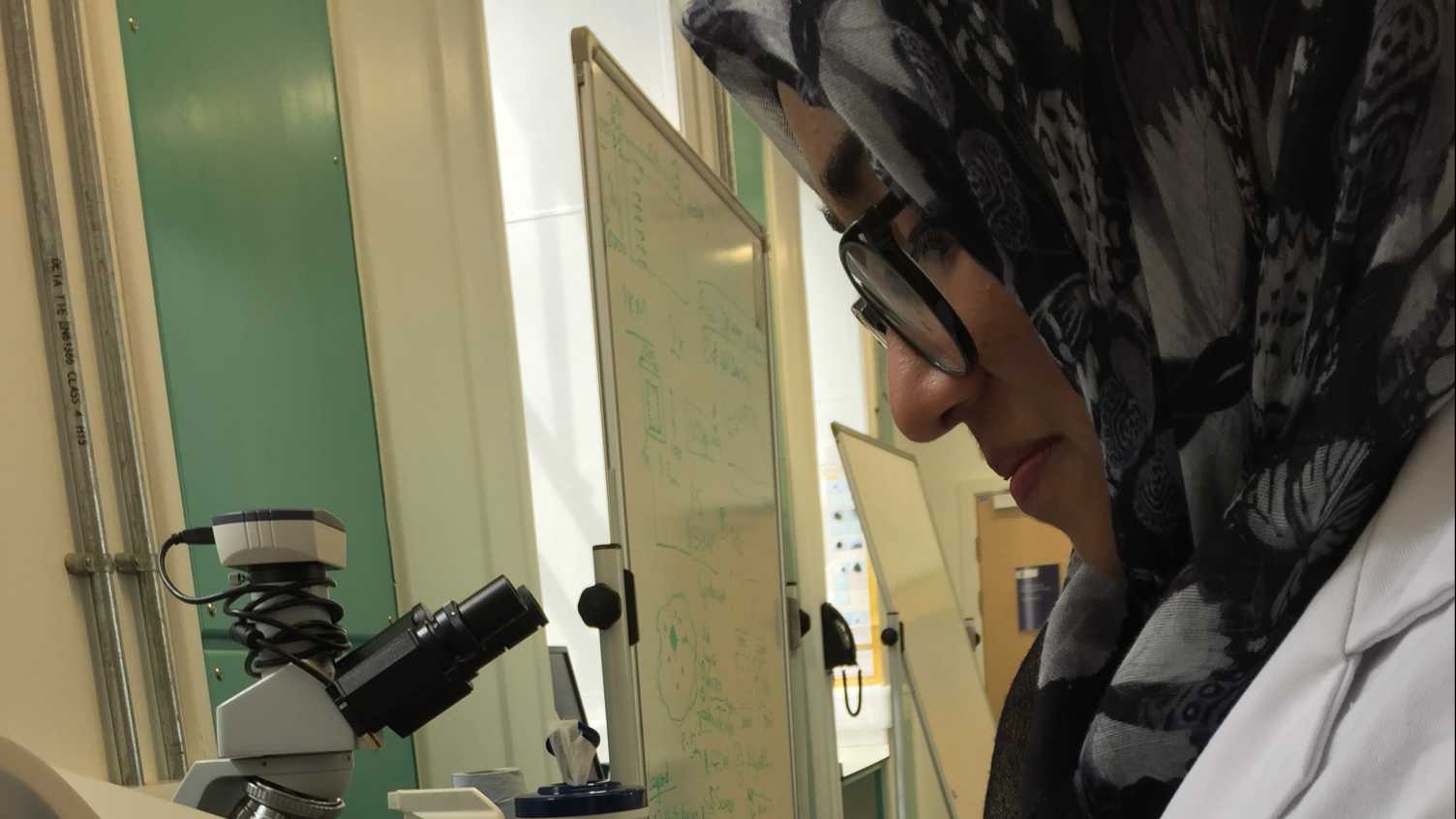 Thumbnail for The whole SURE experience really helped me gain a deep insight into the inner wo…