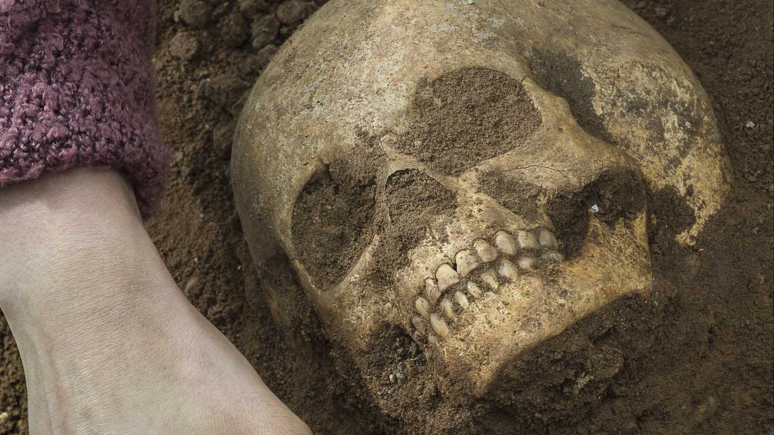 Thumbnail for Funerary archaeology | Biosciences 