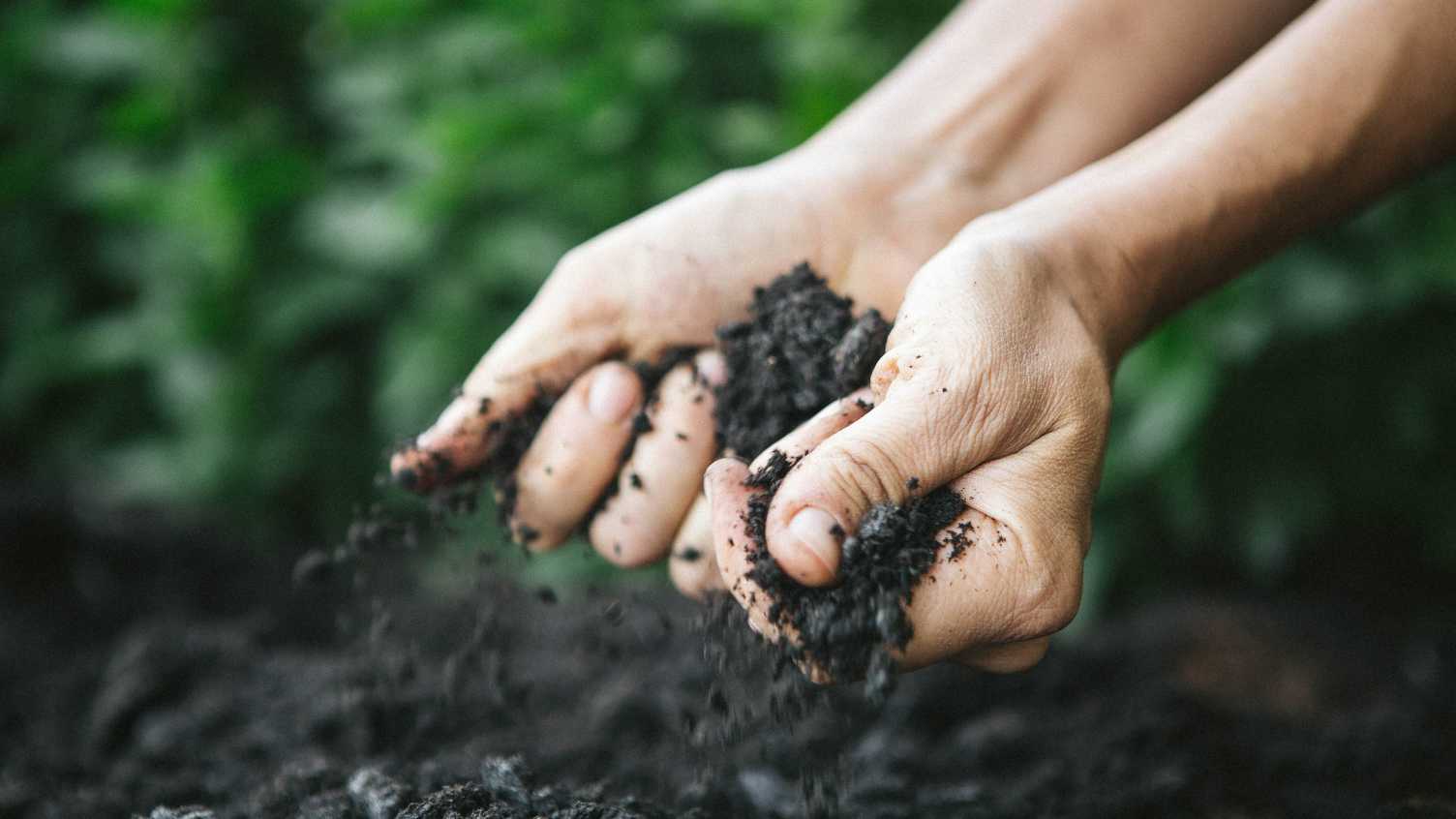 Thumbnail for Sponsorship | Institute for Sustainable Food 
