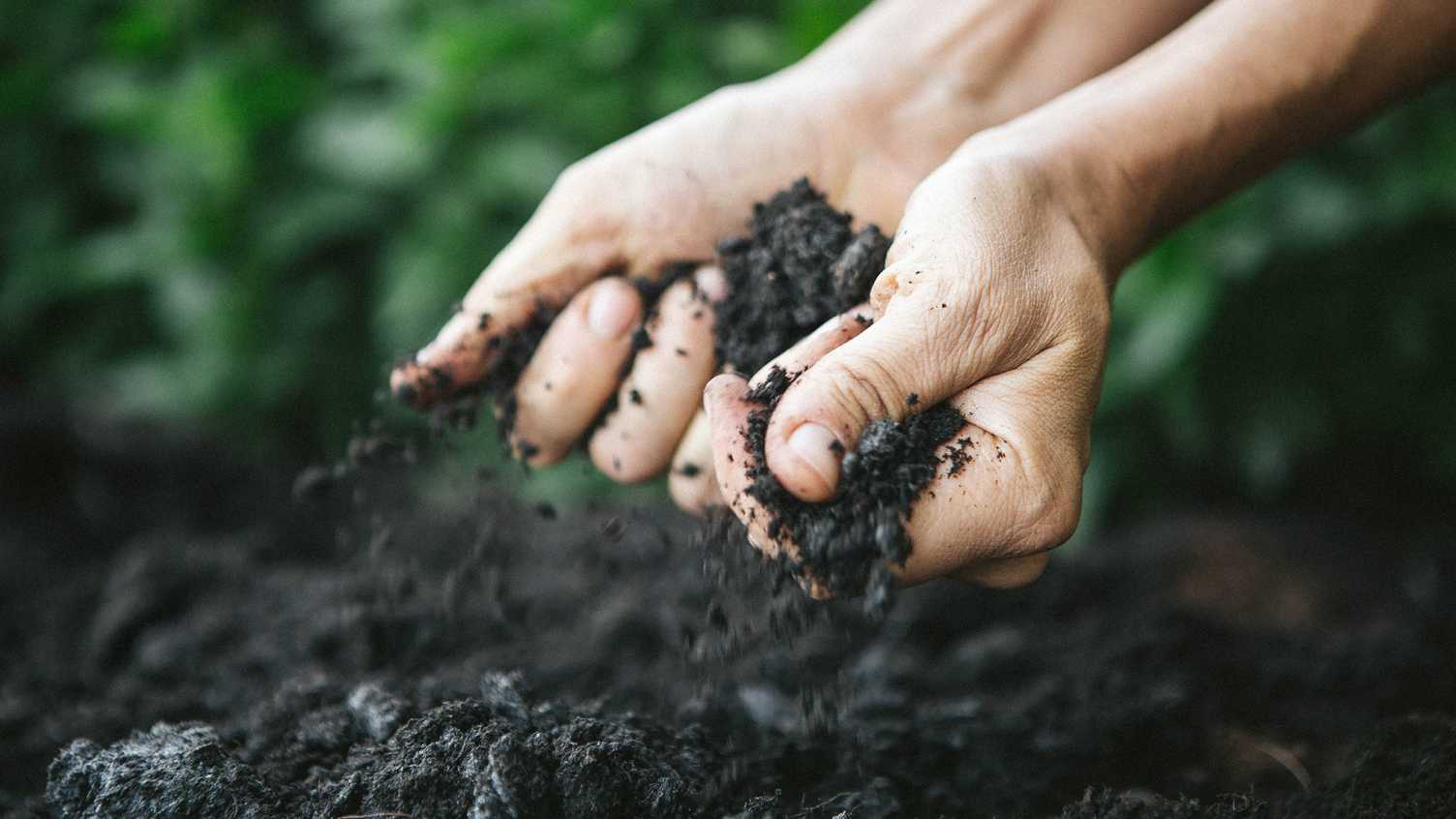 Thumbnail for Soil degradation and why it matters | Institute for Sustainable Food 