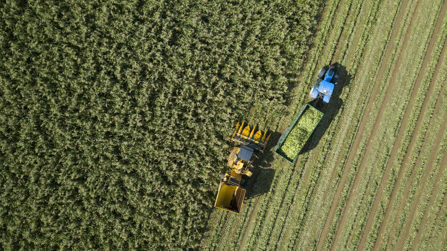 Thumbnail for Agriculture Bill: here’s what it means for farming and the environment after B…