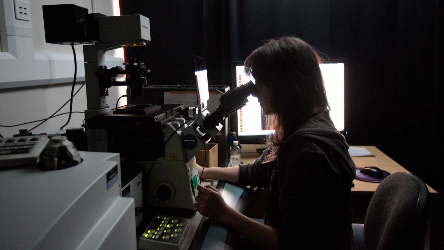 Thumbnail for Wolfson Light Microscopy Facility | Wolfson Light Microscopy Facility 
