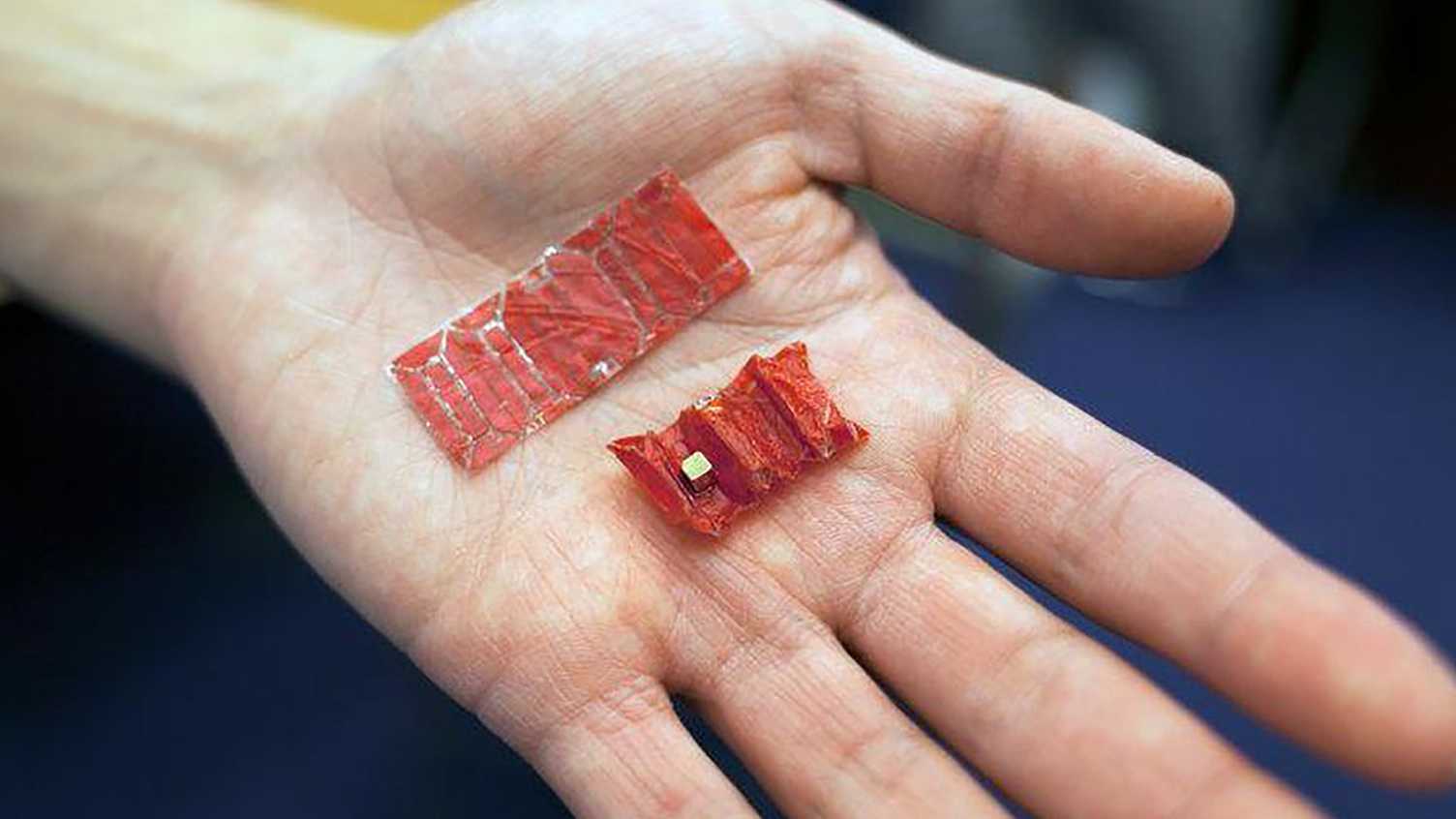 Thumbnail for Healthcare of the future is in our hands | Faculty of Engineering 