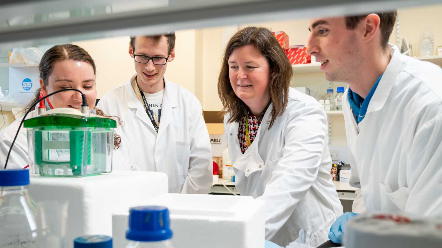 Thumbnail for New task force of international researchers to understand the role of ageing in …