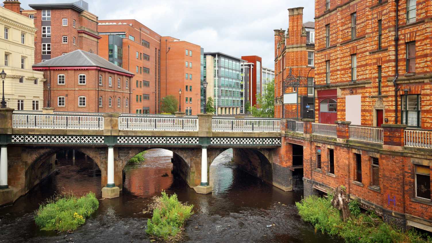 Thumbnail for £2.5m University project for River Don floodplain | GPRG 