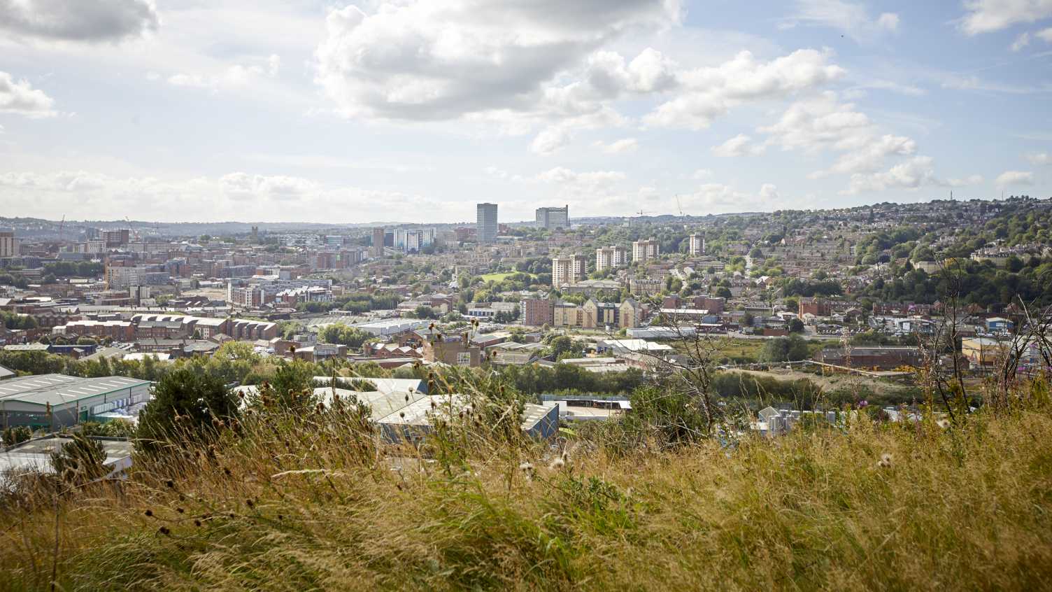 Thumbnail for Urban land could grow fruit and veg for 15 percent of the population | Institute…