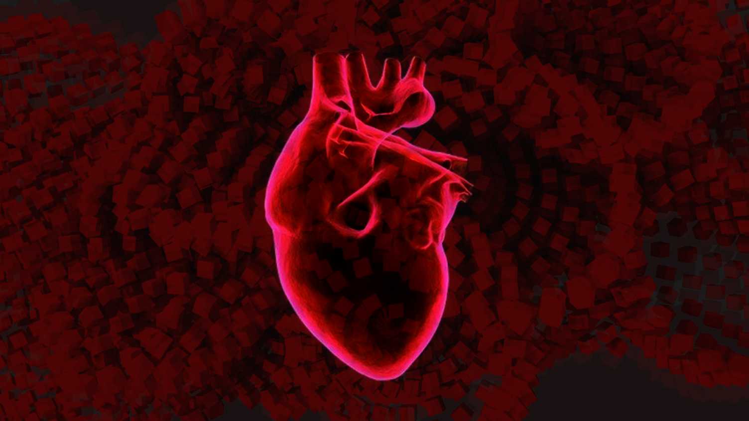 Thumbnail for Donald Heath Sheffield - Pulmonary Hypertension Research | Donald Heath Sheffiel…