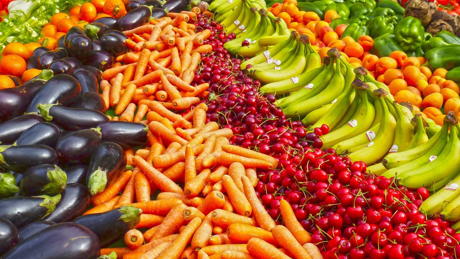 Thumbnail for Food and nutrition | SCHARR 