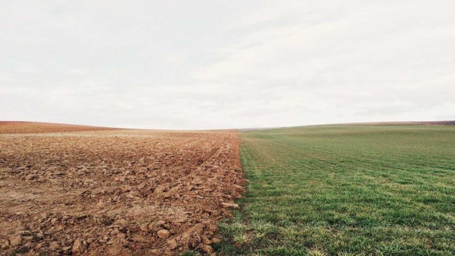 Thumbnail for Achieving sustainable soil management in the UK | Institute for Sustainable Food…