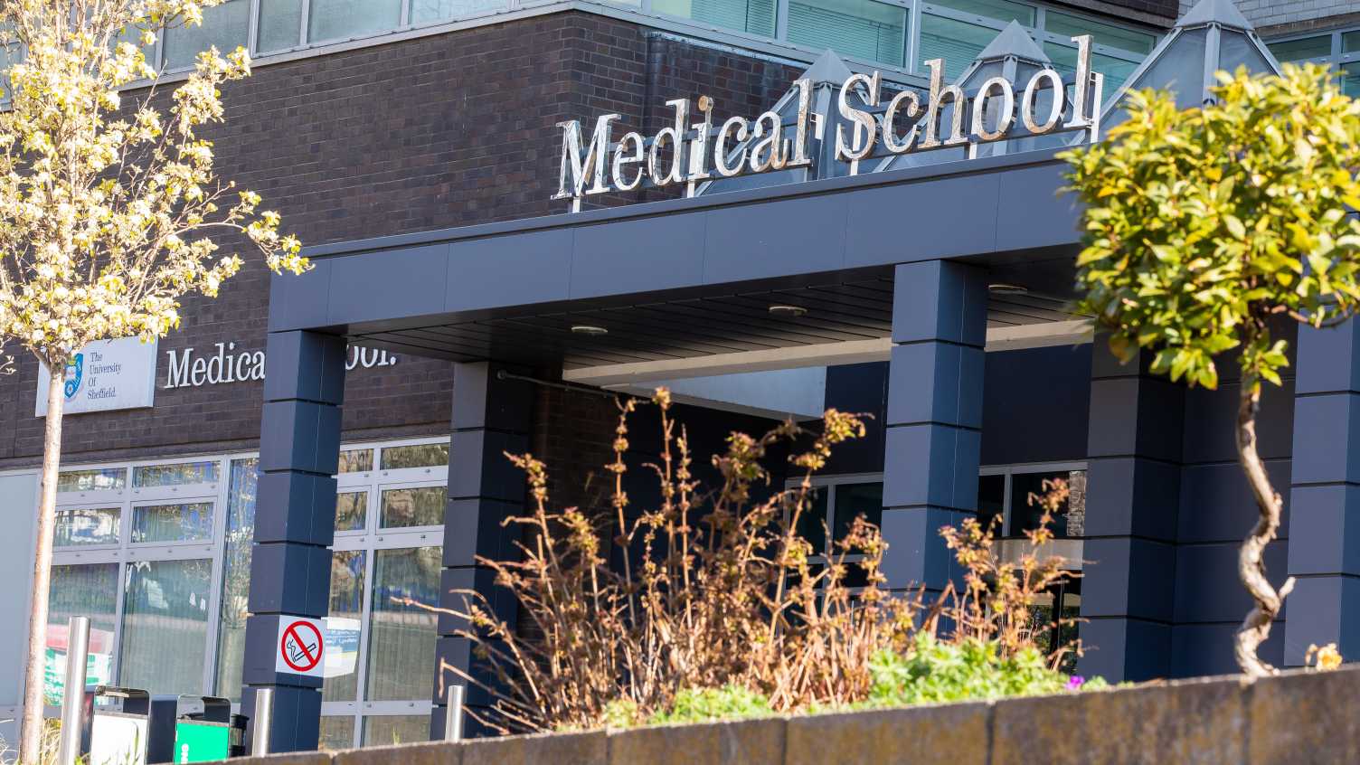 Thumbnail for Winston Churchill Memorial Trust Fellows announced | Medicine and Population Hea…
