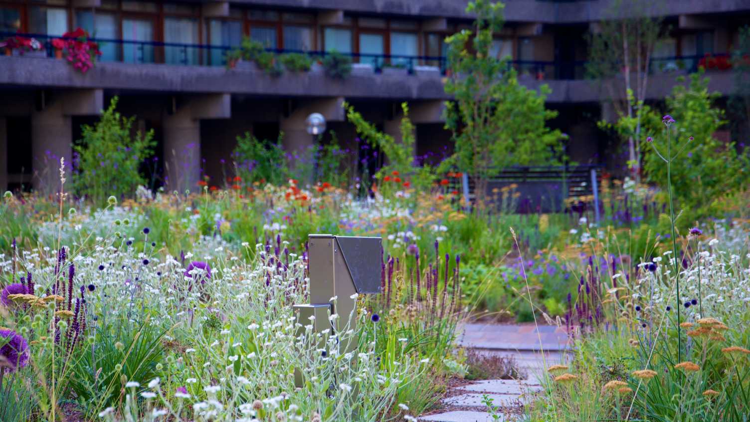 Thumbnail for Designed Ecology | Architecture and Landscape 