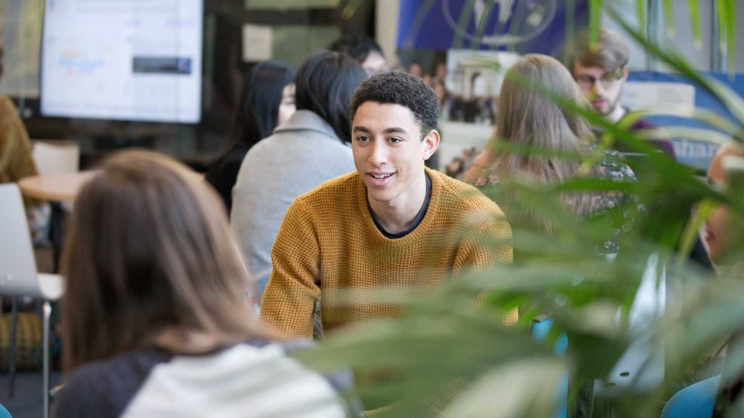 Thumbnail for Social Sciences scholarships | Faculty of Social Sciences 