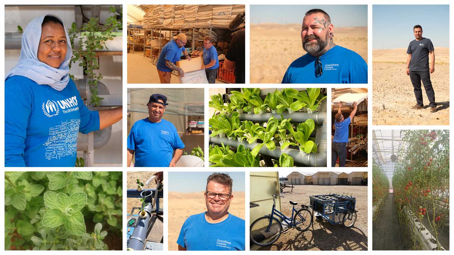 Thumbnail for Meet the Sheffield Scientists behind the Desert Garden appeal | Biosciences 
