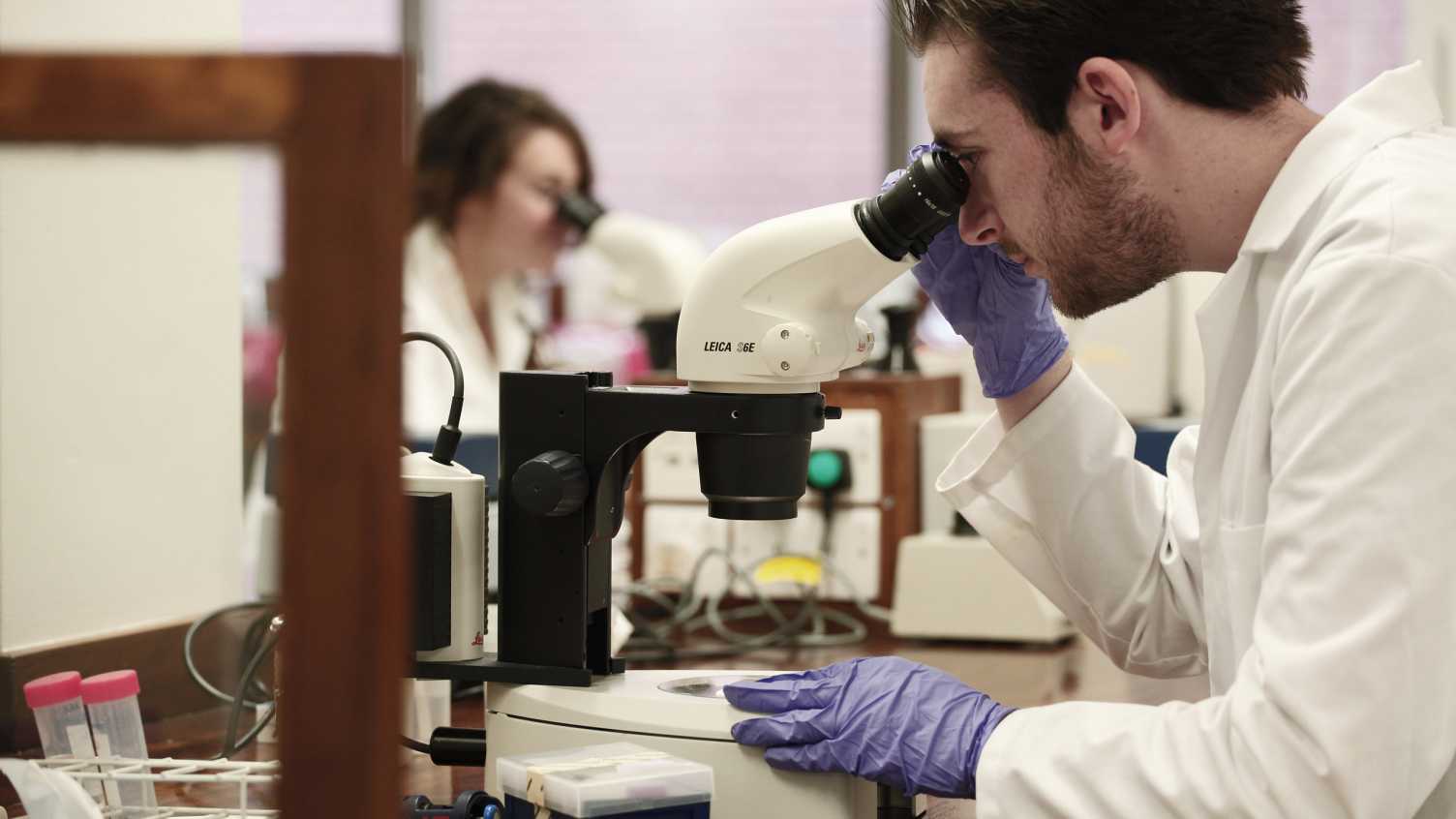 Thumbnail for Postgraduate study opportunities | CSCB 