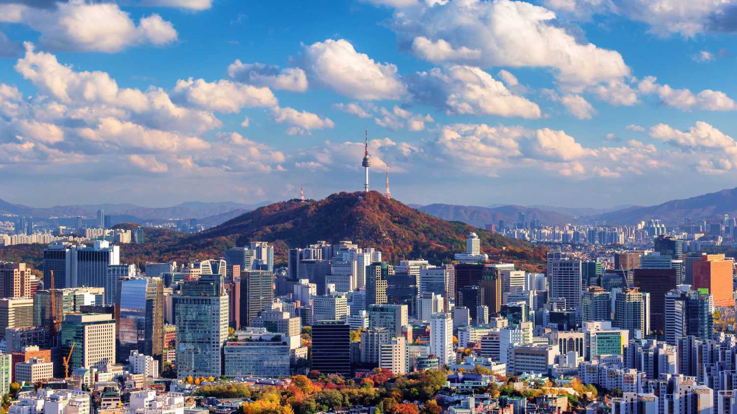 Thumbnail for Korean Studies BA | Undergraduate study 