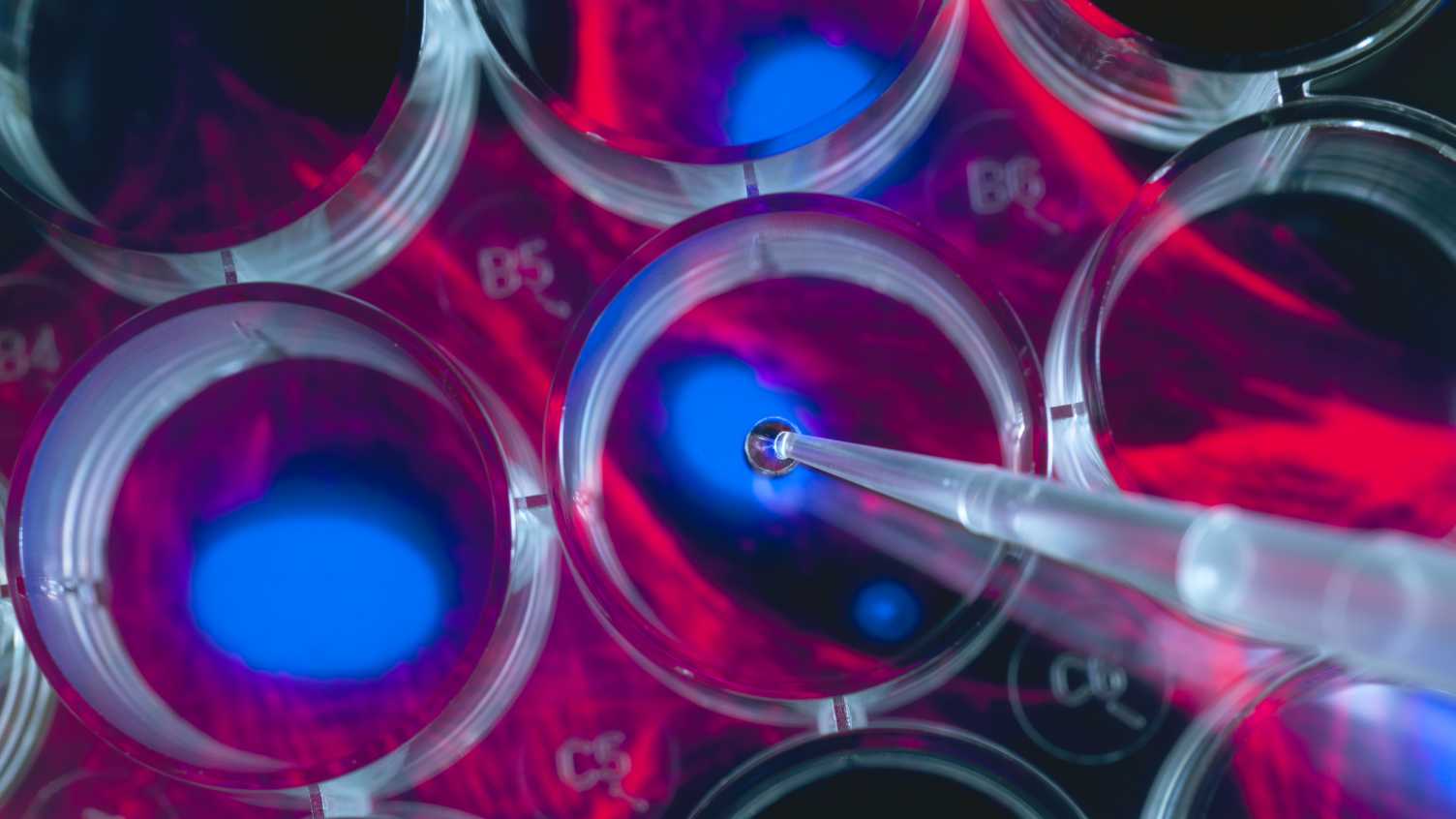 Thumbnail for Research and principal investigators | CSCB 
