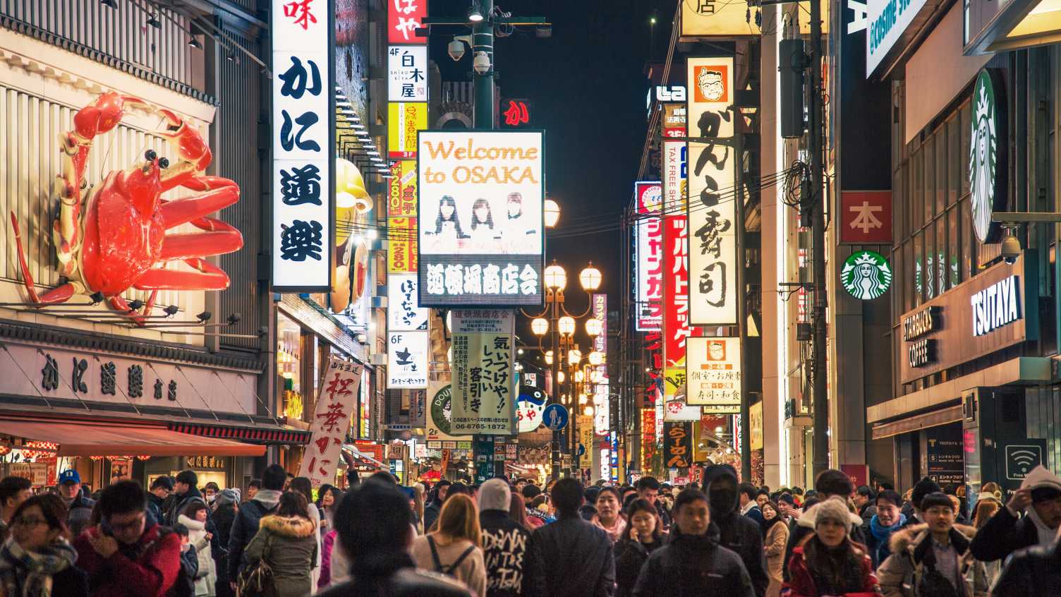 Thumbnail for Japanese Studies BA | Undergraduate study 