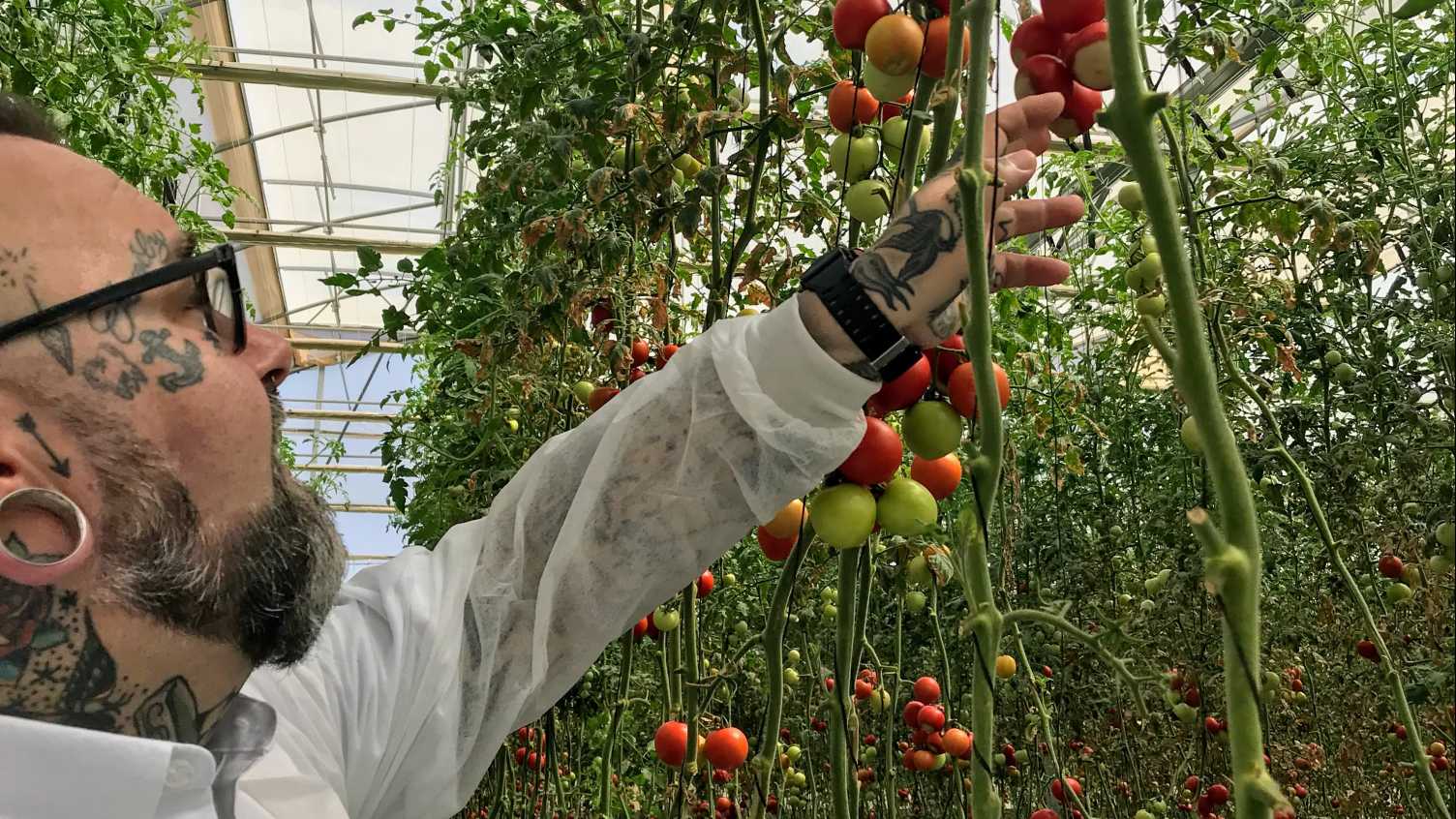 Thumbnail for Scientists develop ‘probiotics’ to help plants fight disease without pestici…