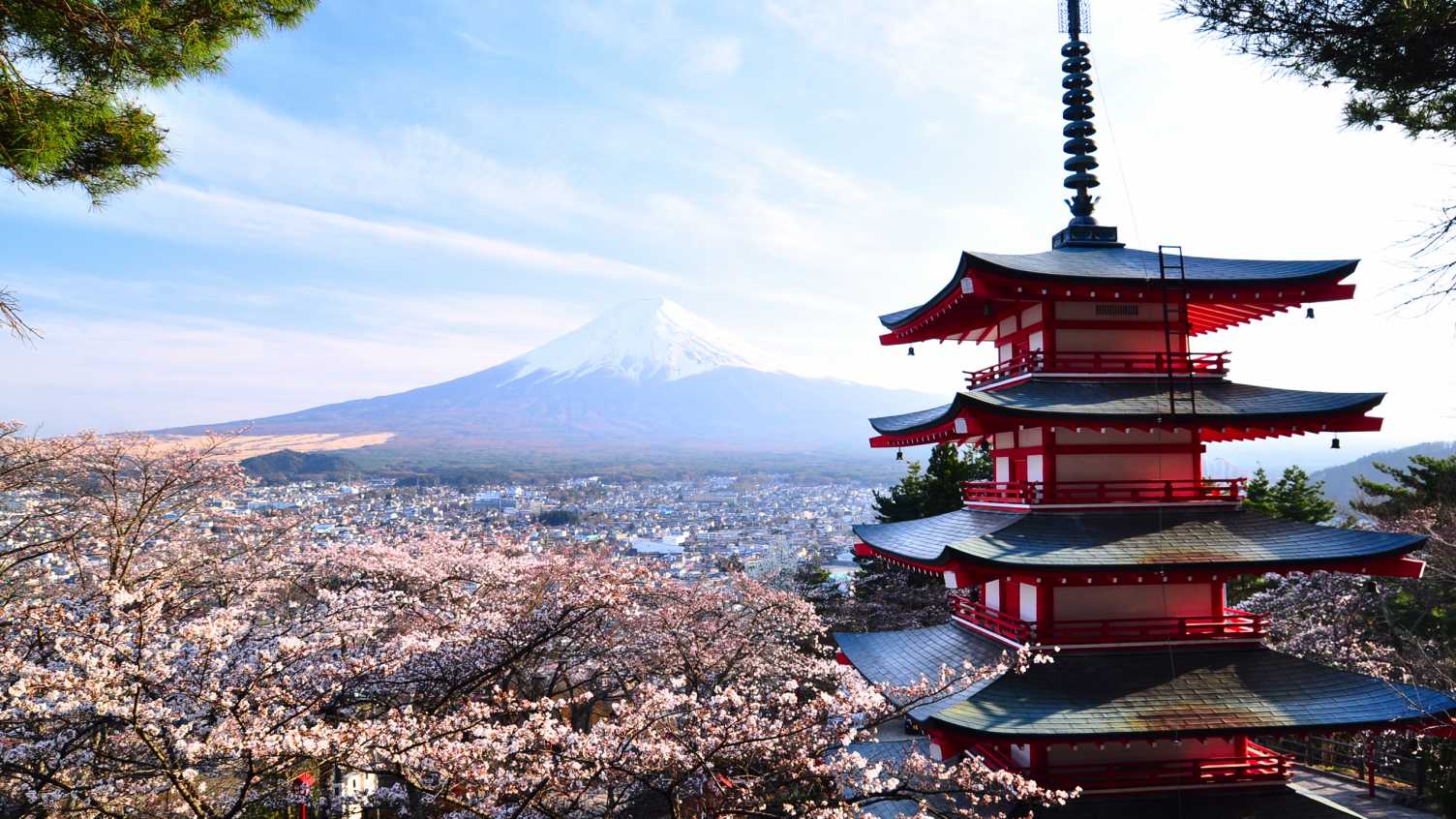 Thumbnail for BA Chinese, Japanese or Korean Studies | Languages, Arts and Societies 