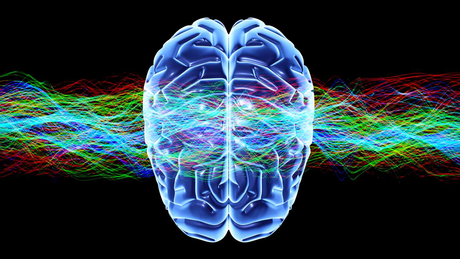 Thumbnail for Scientists identify how the brain regulates its own signalling | Neuroscience In…
