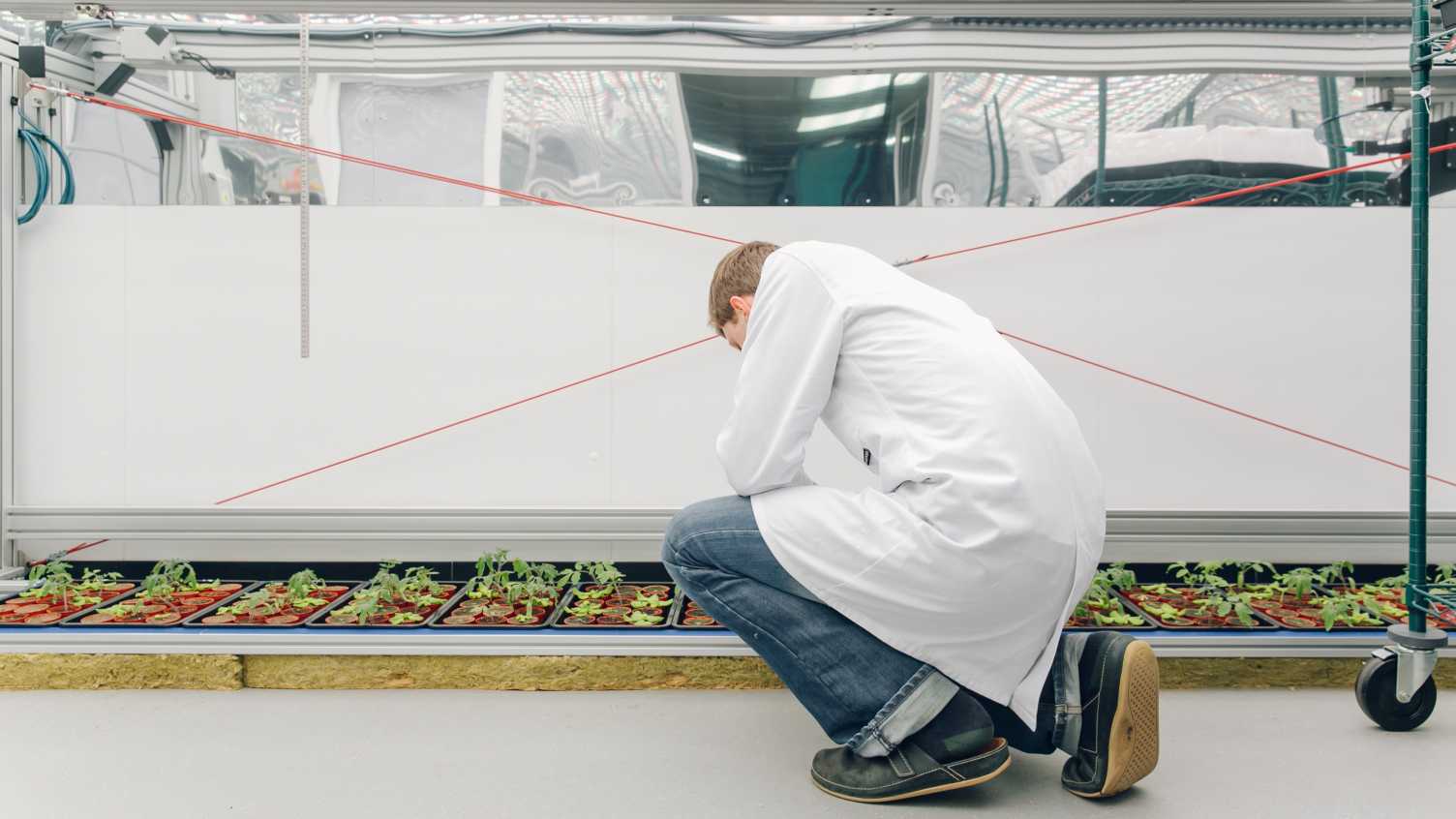 Thumbnail for Sir David Read Controlled Environment Facility | Sir David Read Controlled Envir…