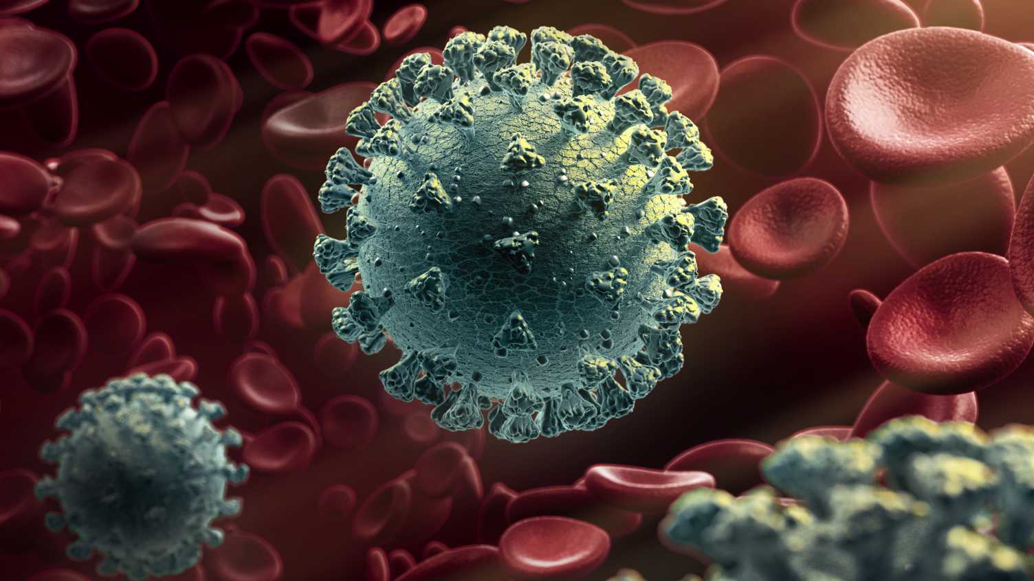 Thumbnail for New, more infectious strain of Covid-19 now dominates global cases of virus | Re…