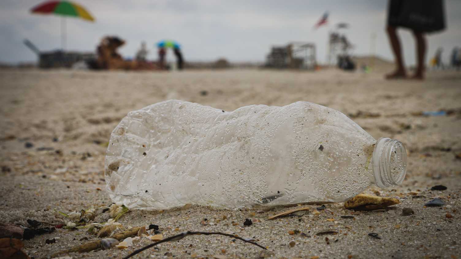 Thumbnail for Scientists publish a call to arms on the war on plastics | News 
