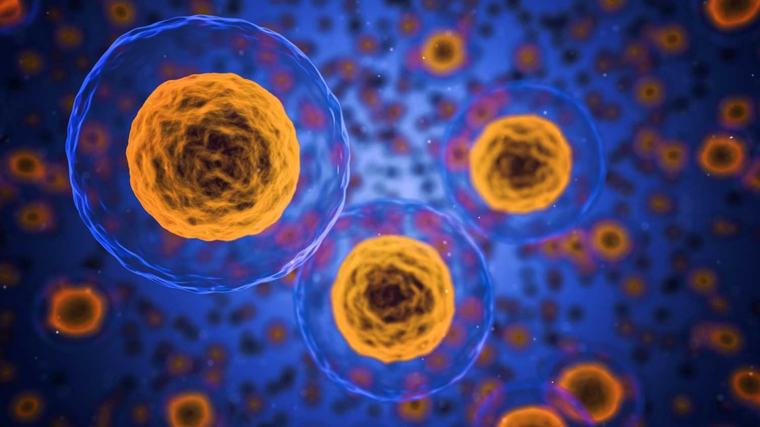 Thumbnail for New Fellowship funds smart drug development | Mathematical and Physical Sciences…
