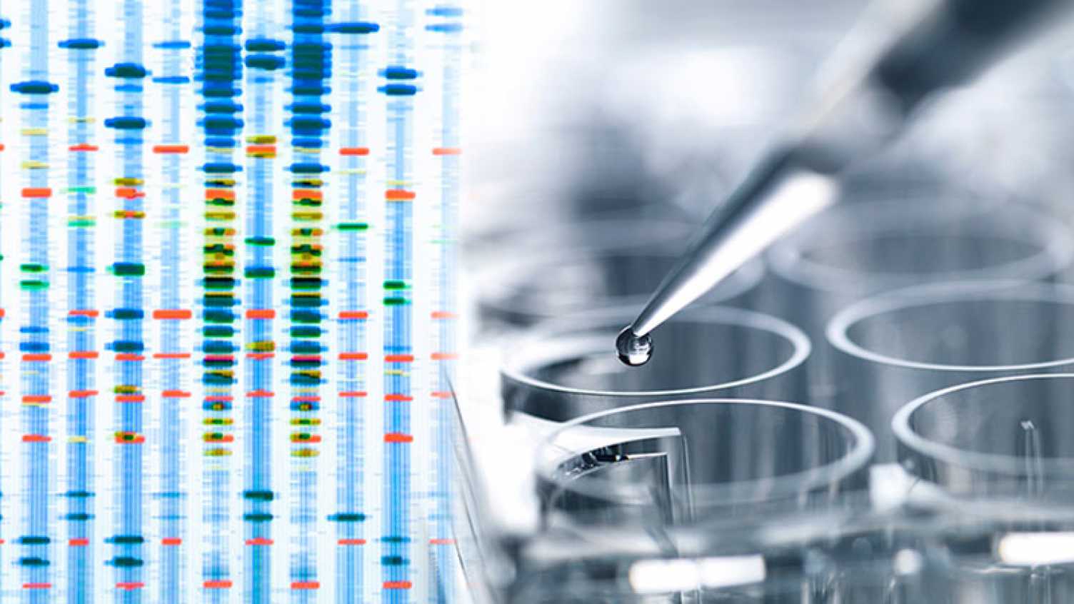 Thumbnail for Innovative gene therapy programme paves the way for new treatments for neurodege…