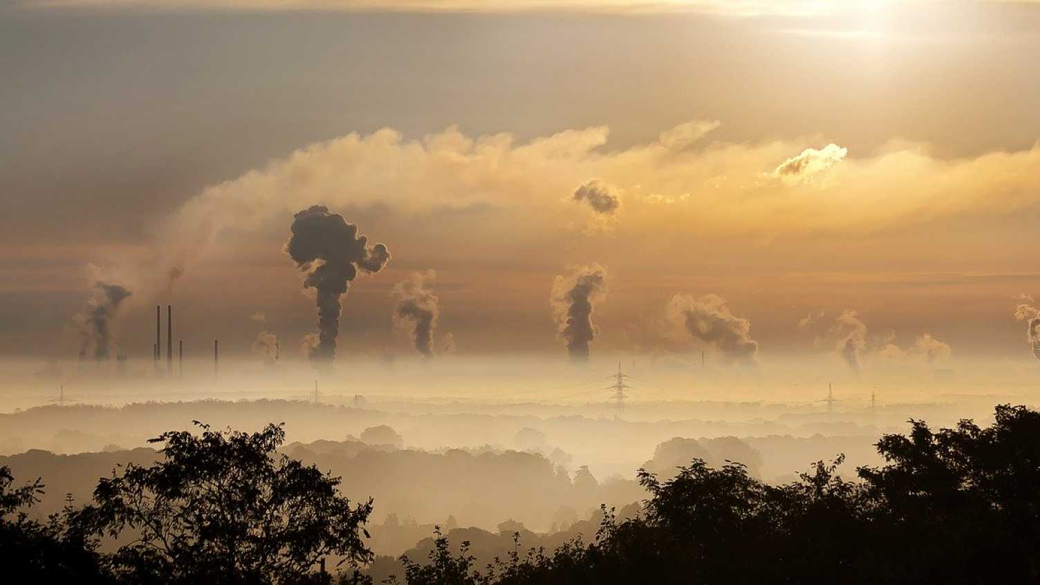 Thumbnail for Press Release - Organisations benefit from the Advanced Resource Efficiency Cent…
