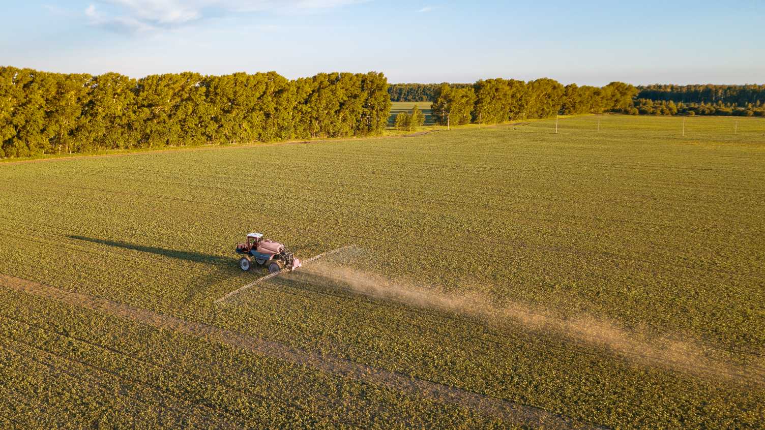 Thumbnail for The Future of Food: Plant science approaches to the global challenge of food sec…