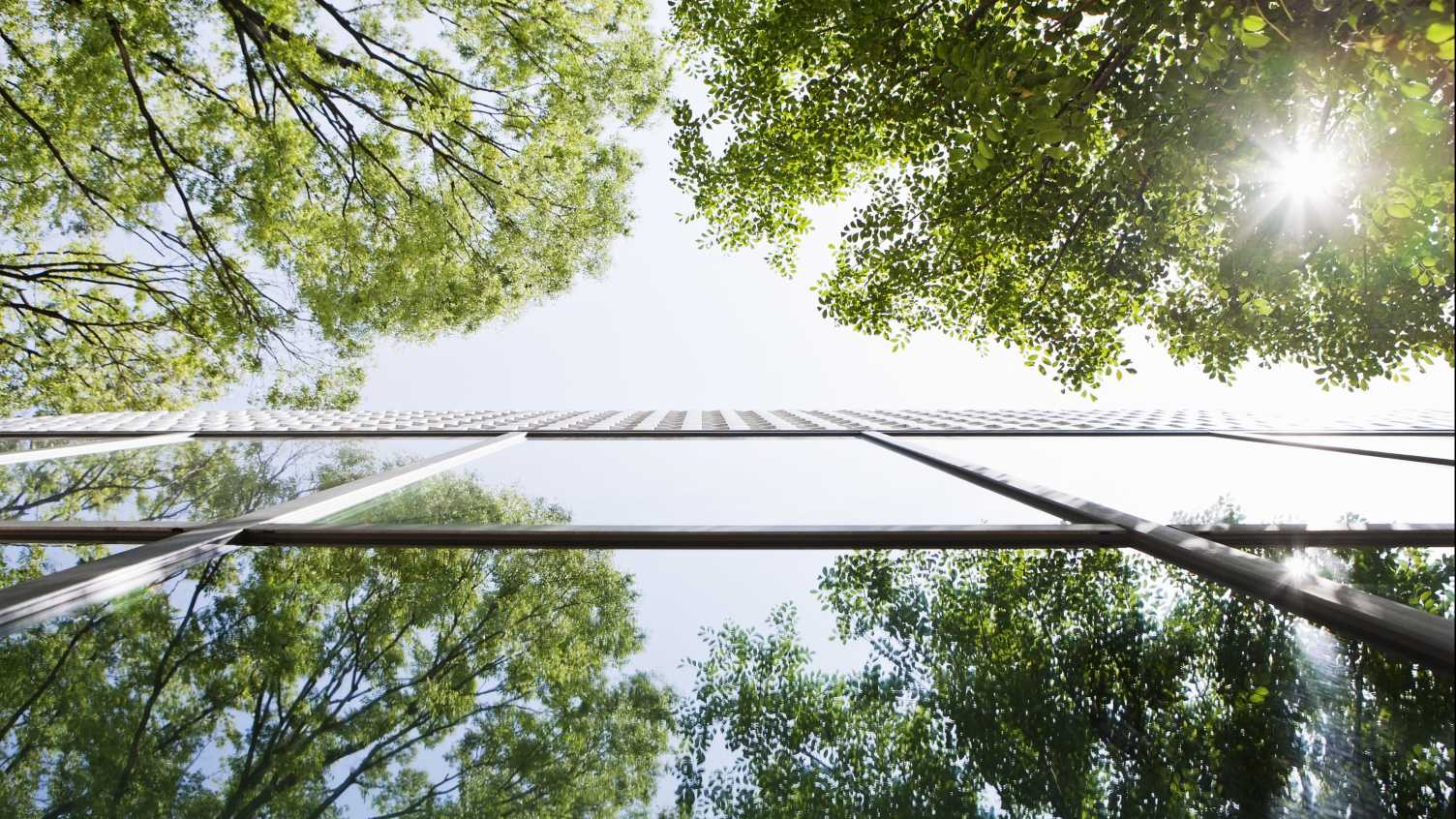 Thumbnail for Centre for Energy, Environment and Sustainability (CEES) | CEES 
