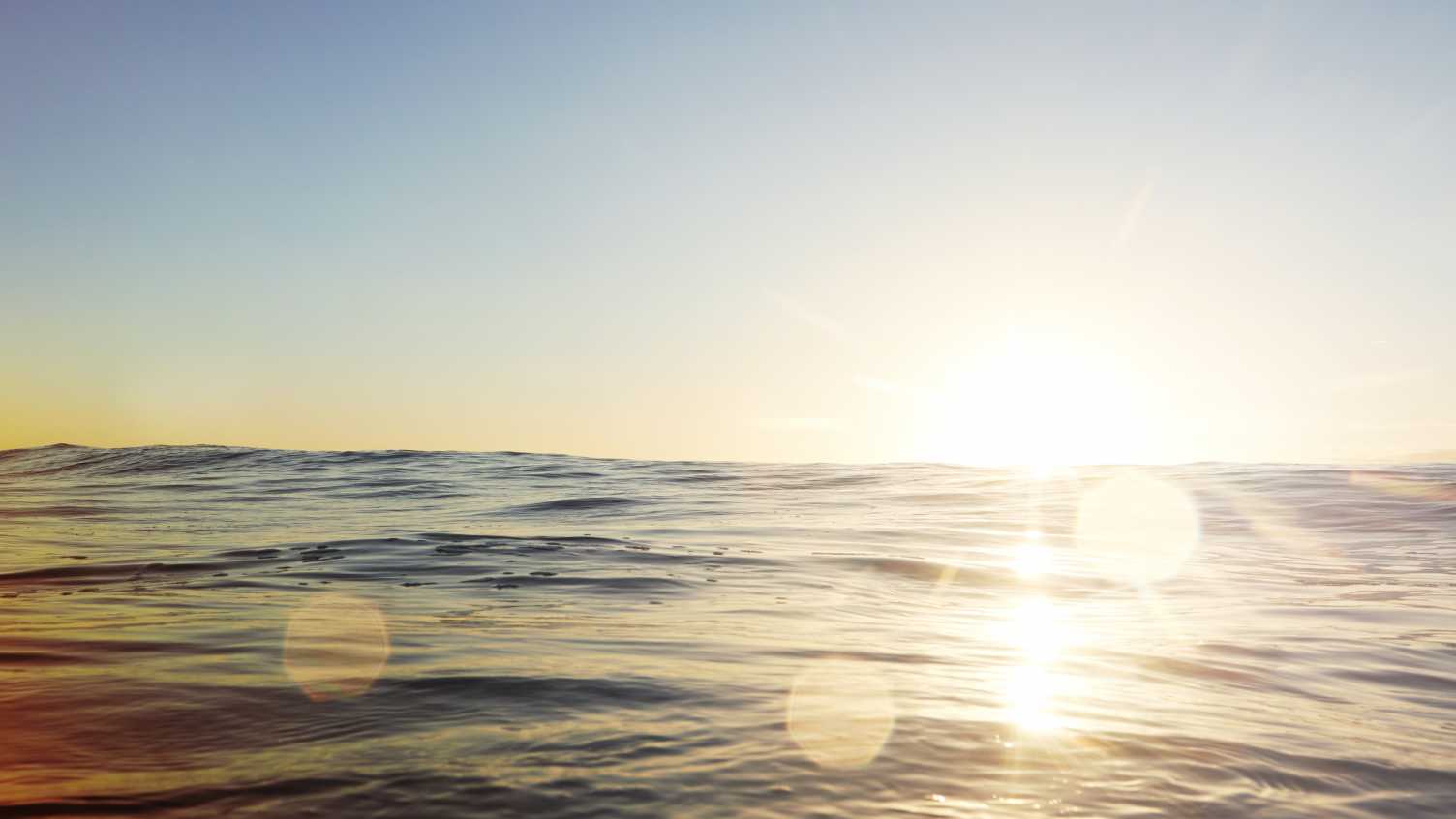 Thumbnail for New research reveals how proteins that harvest and use sunlight are organised by…